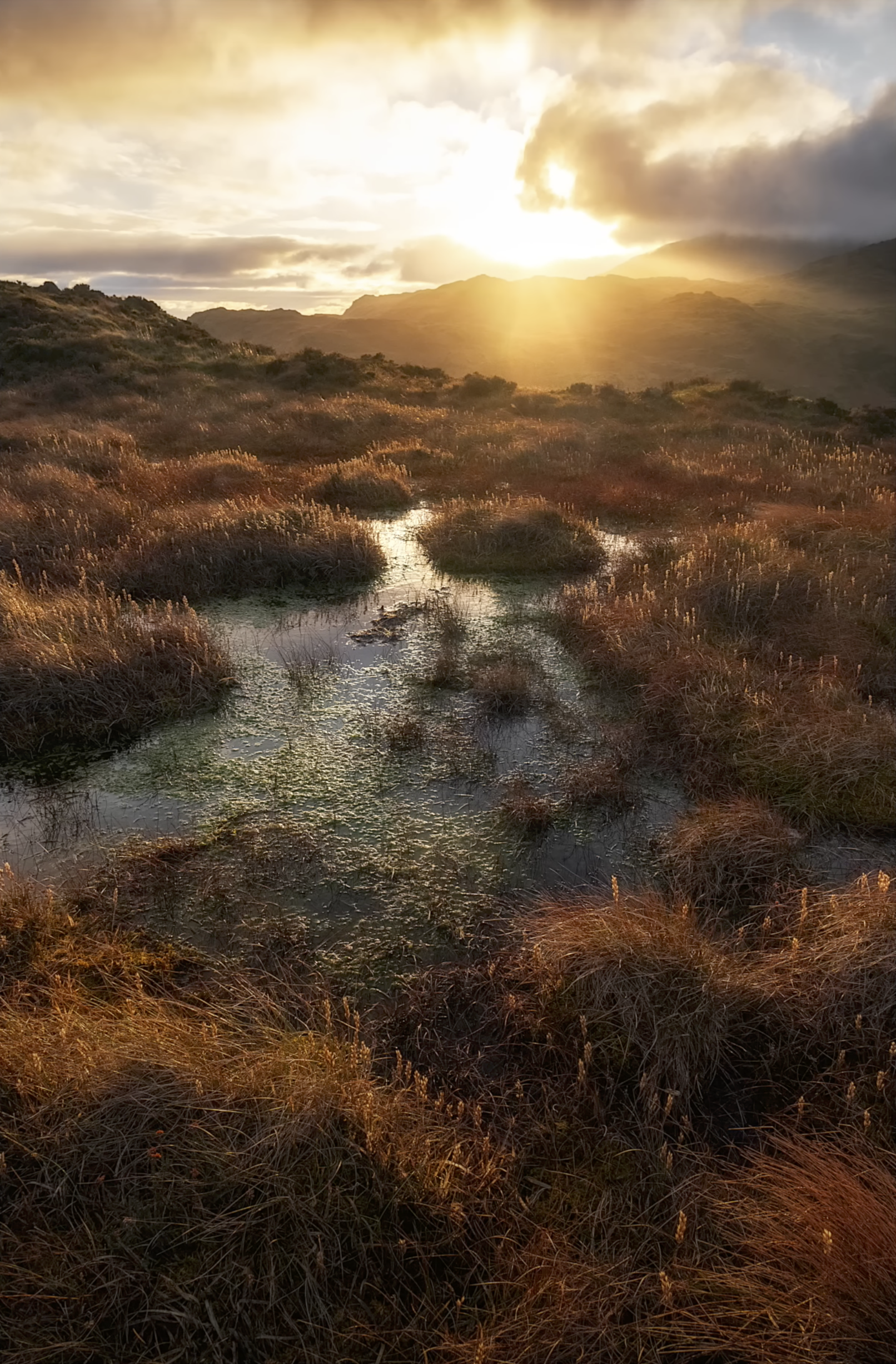 The Nikon 24-200mm Lens: The Ultimate Landscape Photography